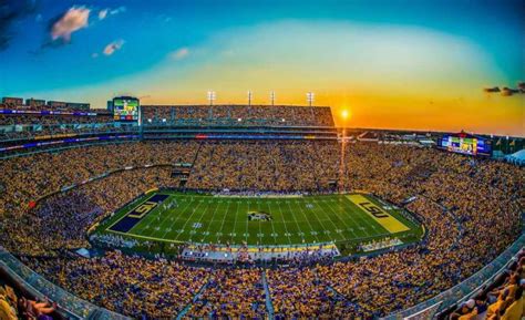 Lsu Tiger Images