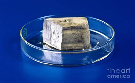 Block Of Sodium Metal, A Chemical Element Photograph by Martyn F. Chillmaid