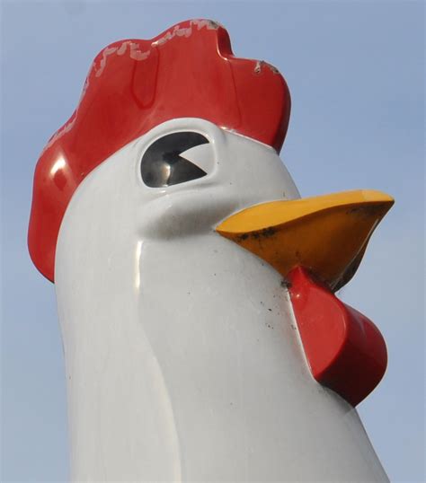 Rooster & Chicken Statues | RoadsideArchitecture.com