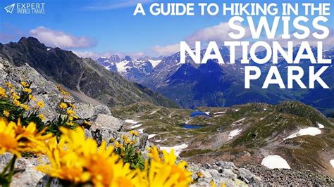 A Guide to Hiking in the Swiss National Park ⋆ Expert World Travel