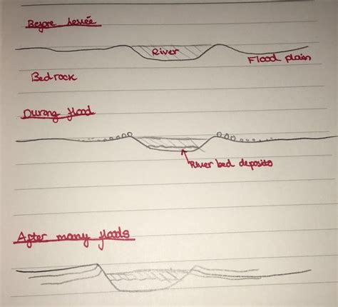 Levées and floodplains Diagram | Quizlet