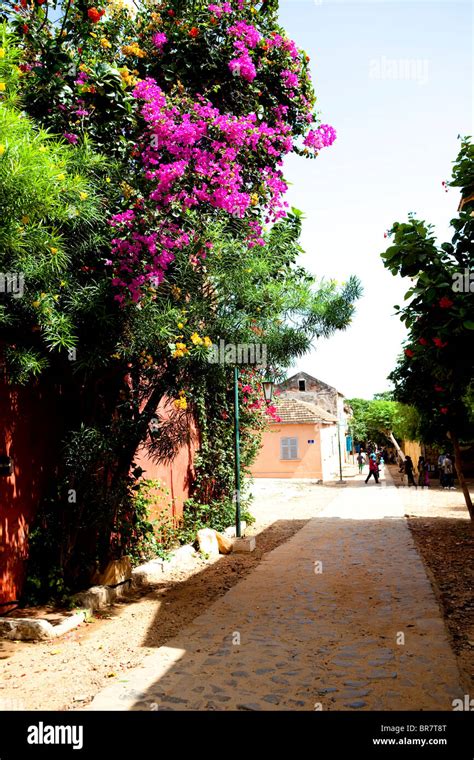 Goree island museum hi-res stock photography and images - Alamy