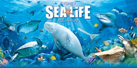 Sydney Aquarium reopens as SEA LIFE Sydney Aquarium - Australasian Leisure Management