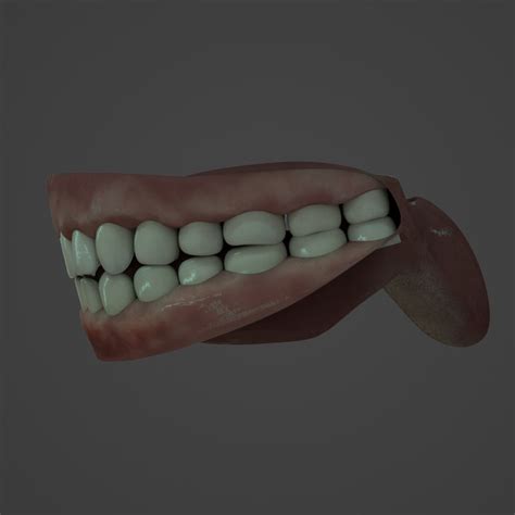 Human teeth 3D model Download for Free