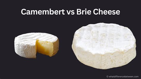 Camembert vs Brie: What's the Difference