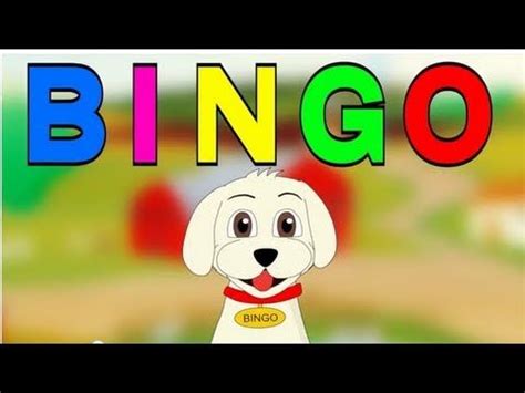 Bingo! (recorded by Patty Shukla) - Nursery rhyme - Cartoon Animated Rhymes and Songs for ...