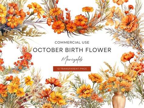 Birth Month Flower Clipart October Bundle, DIGITAL DOWNLOAD, Marigold ...