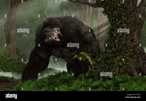 Beast of boggy creek hi-res stock photography and images - Alamy