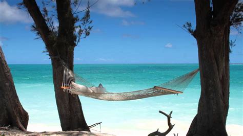 Free photo: Beach Hammocks - Beach, Coast, Colorful - Free Download - Jooinn