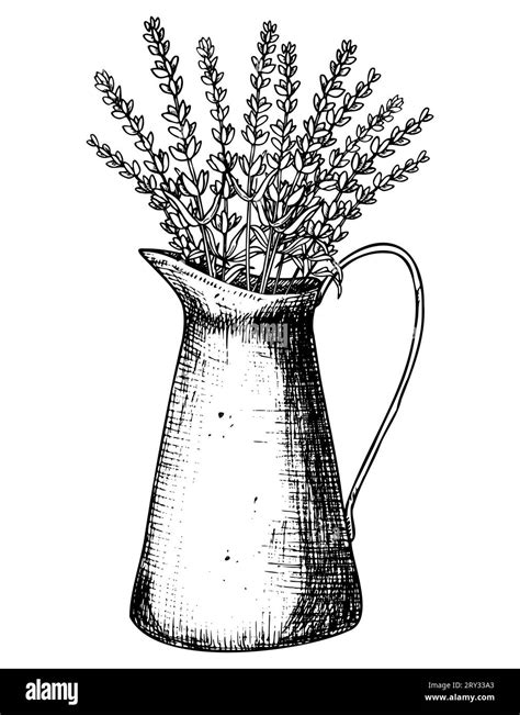 Lavender bouquet in vintage metal rustic Jar. Hand drawn vector illustration of Flowers in ...