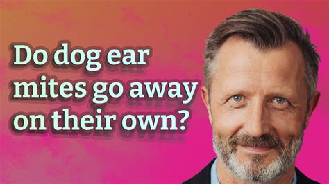 Do dog ear mites go away on their own? - YouTube