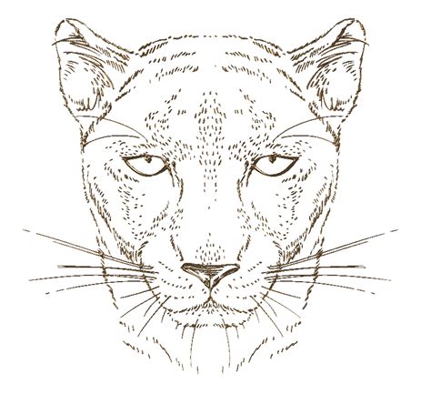 Jaguar Tattoo, Lesage, Leopards, Rock Garden, Space Art, Cot, Ecommerce ...