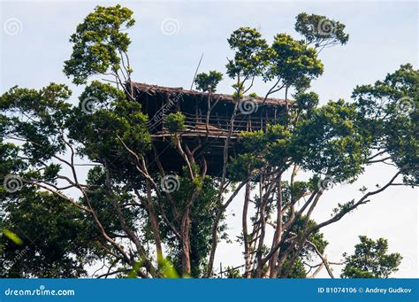 Traditional House Korowai Tribe. Tribe of Korowai Kombai , Kolufo ...