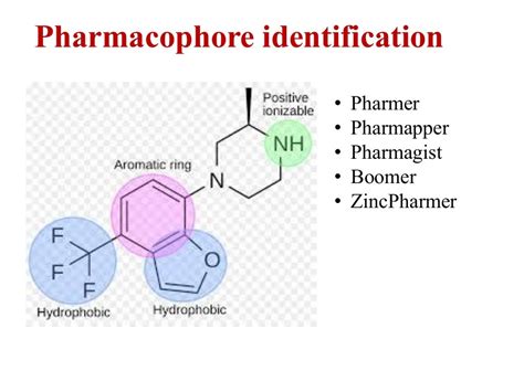 Pharmacophore modeling