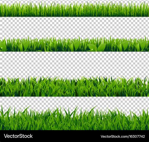 Grass border set Royalty Free Vector Image - VectorStock