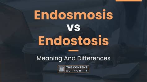 Endosmosis vs Endostosis: Meaning And Differences