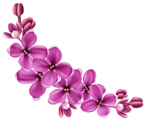 Vector Violet Flower PNG Image | PNG All