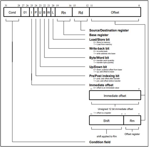 ARM Instruction Set: Single Data Transfer (LDR, STR) - Junorion 블로그