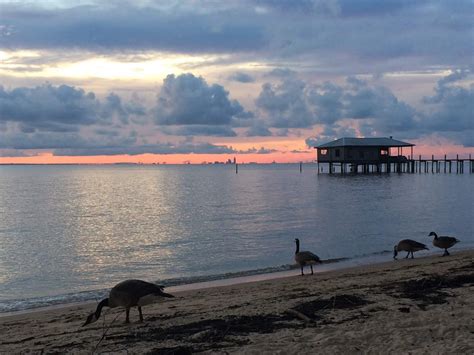 Coastal Waters Adventure Log: Fairhope Beach Sunset