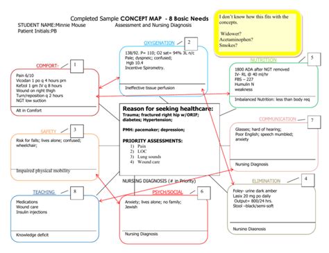 Completed Sample CONCEPT MAP - 8 Basic Needs Reason for