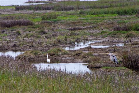 Aransas National Wildlife Refuge - Port Aransas 1streetover