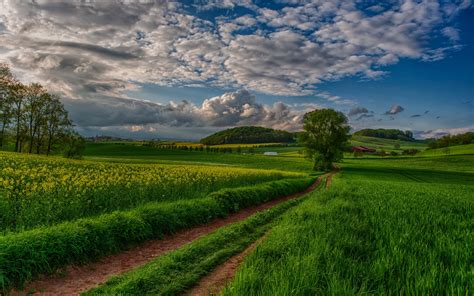 Wallpaper : sunlight, landscape, hill, nature, sky, green, morning ...