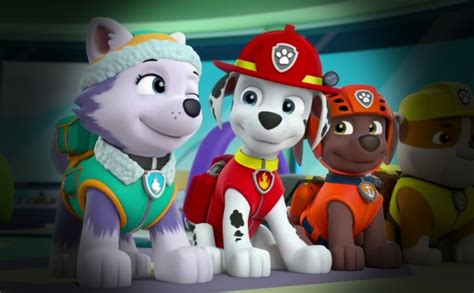 Marshall and Everest - PAW Patrol Fan Art (40215722) - Fanpop