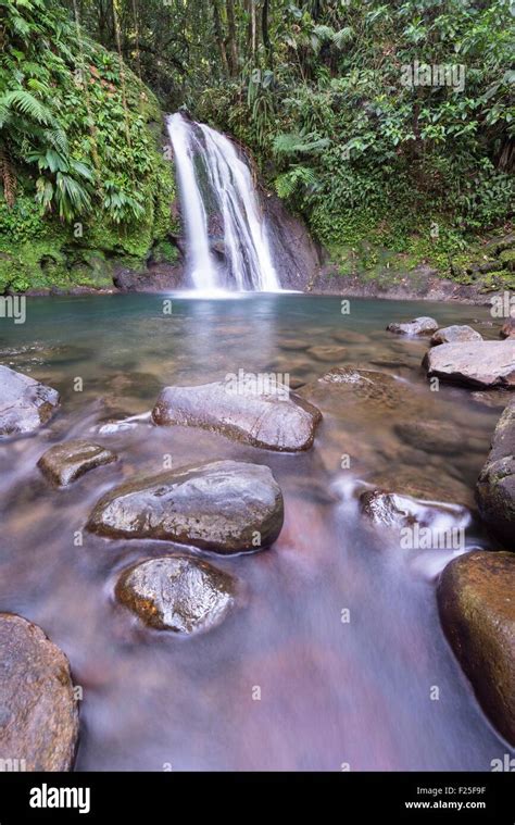 France, Guadeloupe (French West Indies), Basse Terre, Guadeloupe ...