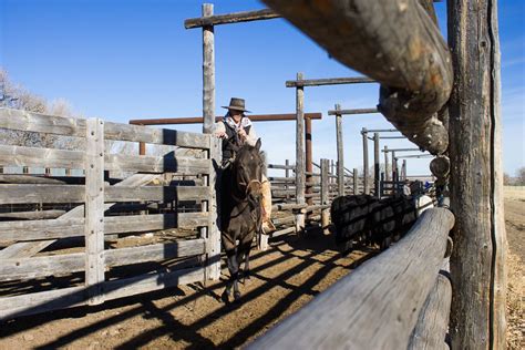 Cowboys Archives - A Ranch Mom