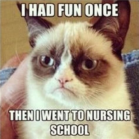 101 Nursing Memes That Are Funny and Relatable To Any Nurse | Funny grumpy cat memes, Grumpy cat ...