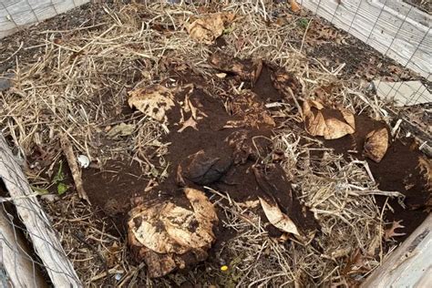 Should You Cover Your Compost Heap in Winter? – Backyard Garden Geek