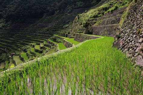 Banaue and Batad Rice Terraces in Philippines 2024-2025 - Rove.me