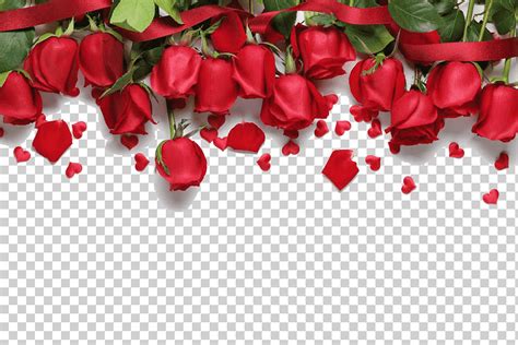 Rosas rojas, canción de amor romance, fondo rosas rojas, amor, otro, Boda png | Klipartz