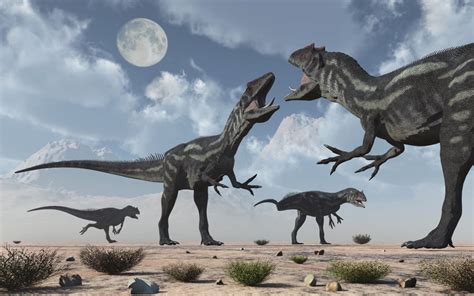 A pack of Allosaurus dinosaurs from Earth's Jurassic period. Poster Print by Mark Stevenson ...