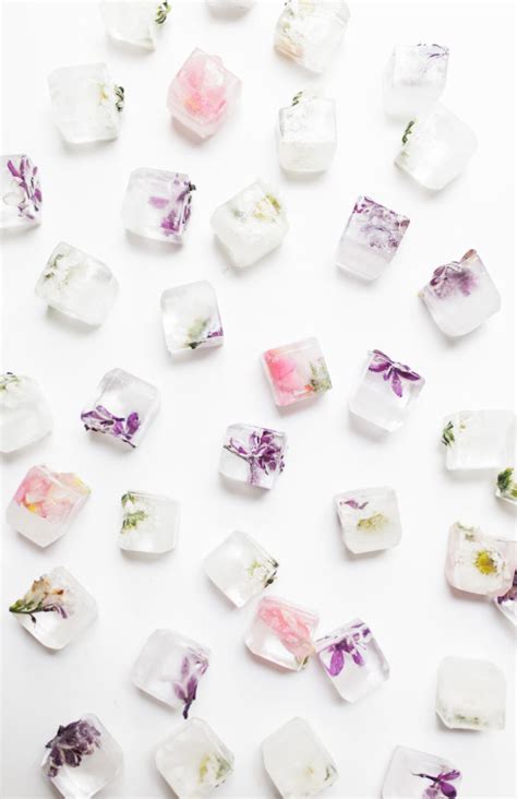 How to Make Floral Ice Cubes - Glitter, Inc.