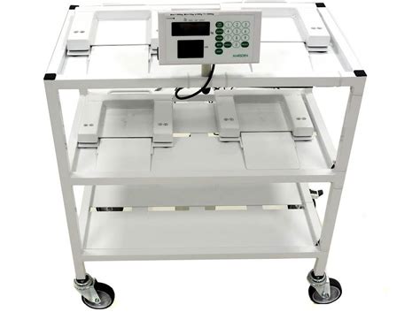 Independent Bed Scale System (1000kg SWL) | DHG