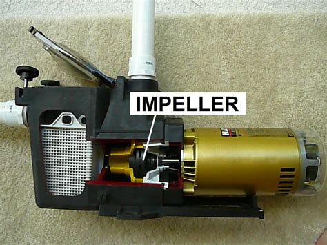 How To Downsize a Pool Pump Impeller - INYOPools.com