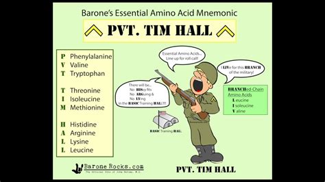 Biochemistry: Essential Amino Acids Mnemonic - YouTube
