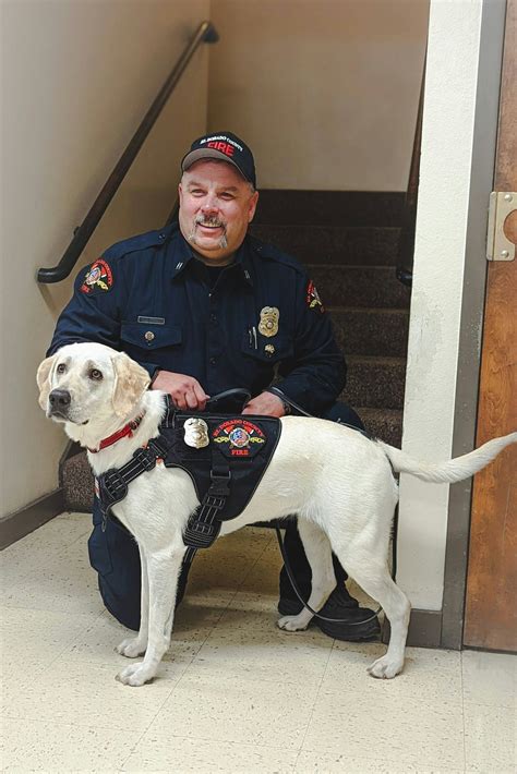 District Welcomes Accelerant Detection Canine Denali - El Dorado County ...