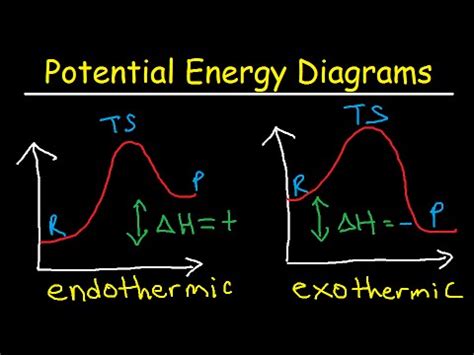 Potential Energy Diagrams - Chemistry - Catalyst, Endothermic & Exothermic Reactions - YouTube