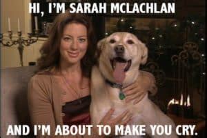 Sarah McLachlan ASPCA Meme - EntreResource.com