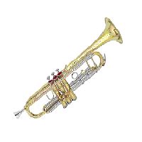 Meaning of 🎺 Trumpet Emoji in 26 Languages