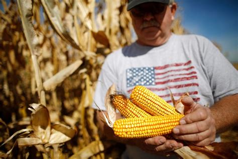 9 Mind-Blowing Facts About the US Farming Industry