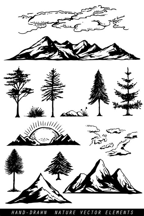 Simple Pine Tree Drawing at PaintingValley.com | Explore collection of Simple Pine Tree Drawing