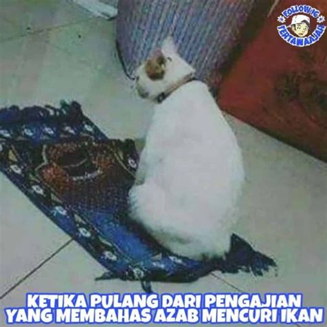 33+ Meme Kucing Senyum Kocak