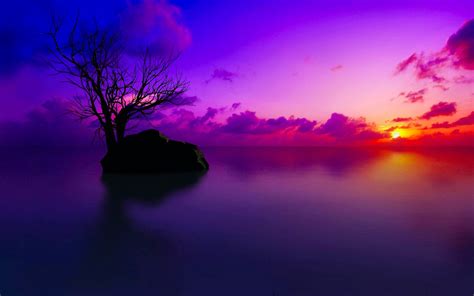 Sunset Wallpaper Desktop