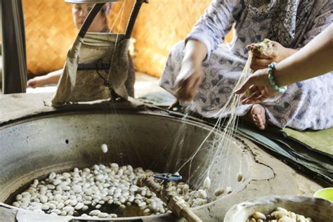 Traditional silk production in Uzbekistan Margilan factory