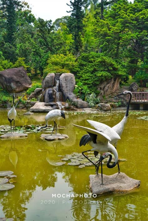 Xiamen Botanical Garden Attractions - Xiamen Travel Review -May 18, 2020Travel Guide - Trip.com