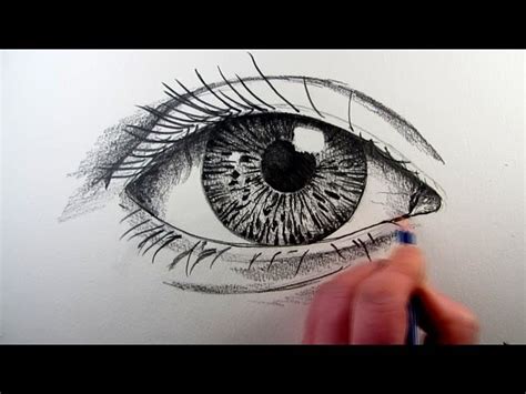 Human Eye Realistic Eye Coloring Pages