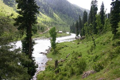 Gulmarg Kashmir | Best honeymoon packages, Beautiful destinations, Honeymoon